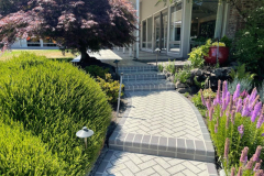 SundekAustin-pathway