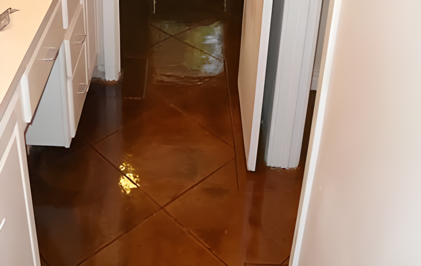sundye, sunstain and suncanvas interior home flooring in Austin, TX